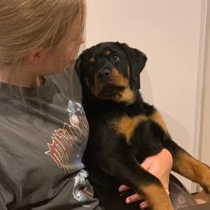 Meet your Posher, Melanie